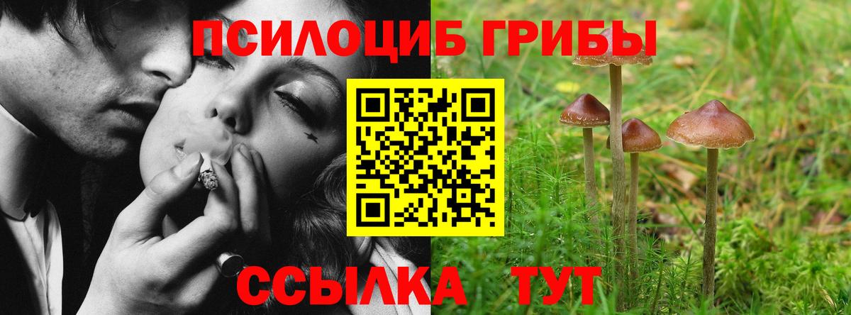 Нефтекамск  Псилоцибиновые грибы GOLDEN TEACHER  Псилоцибиновые грибы мухоморы  Вход с VPN 